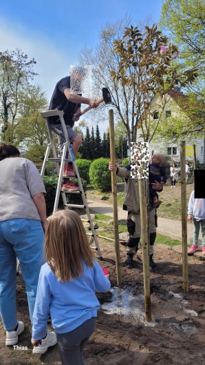 Baumpflanzung2_1